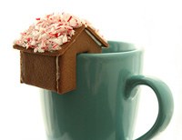 ginger bread house